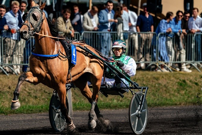 Rocky Mom, Belgische draver in de Grote Prijs Stad Waregem