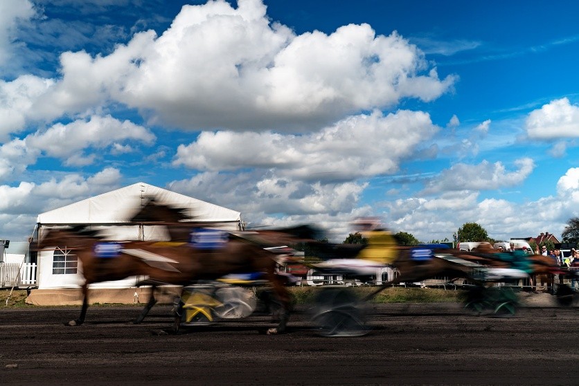Dravers in actie op de piste van de Gaverbeekhippodroom
